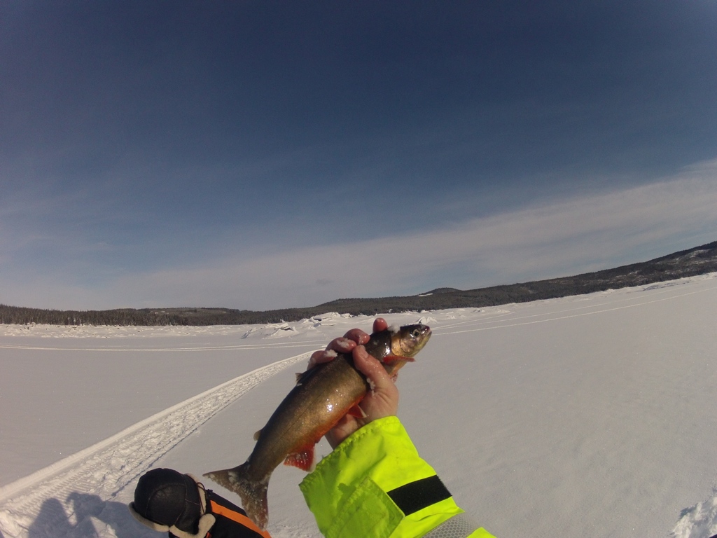 Wyprawa na ryby Laponia