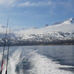 Wyprawy na ryby do Norwegii